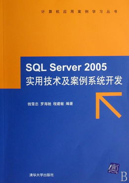 SQL Server 2005實用技術及案例系統(tǒng)開發(fā) 附光盤的計算機應用案例學習指南
